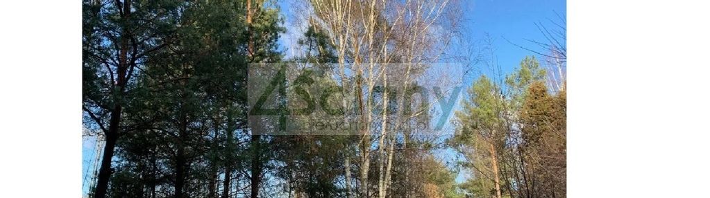 Działka przy lesie w komorowie gmina michałowice