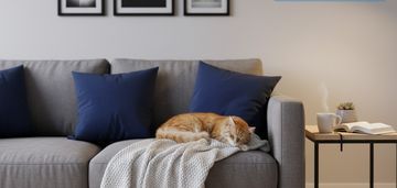 Mieszkanie, julianów