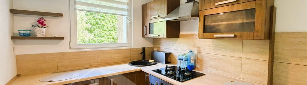 Głogów, obrońców pokoju, mieszkanie do wynajęcia