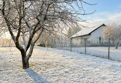 Cisza i natura w granicach miasta, wzgórze bukowe