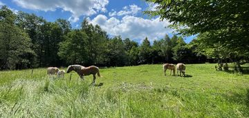 Twoje marzenie o własnym domu w pięknym miejscu