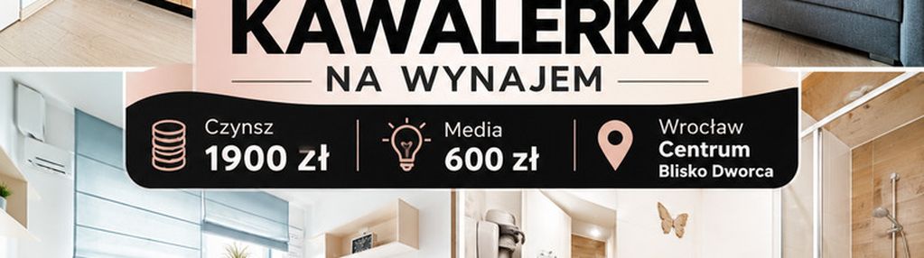Kawalerka/wrocław/centrum/wynajem