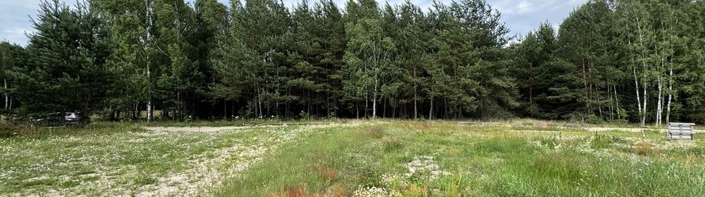 Atrakcyjna działka budowlana w otoczeniu lasu.