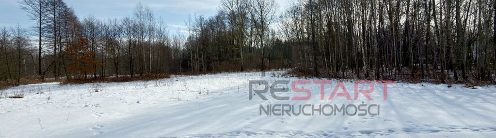 Siedlisko ! bolesławek gm . żabia wola .