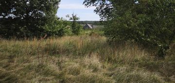 Dzałka w strzemieczne-wiosny-cisza, natura,dogodny dojazd