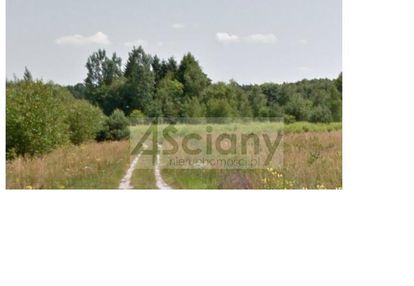 Strzeniówka - działka na granicy lasu