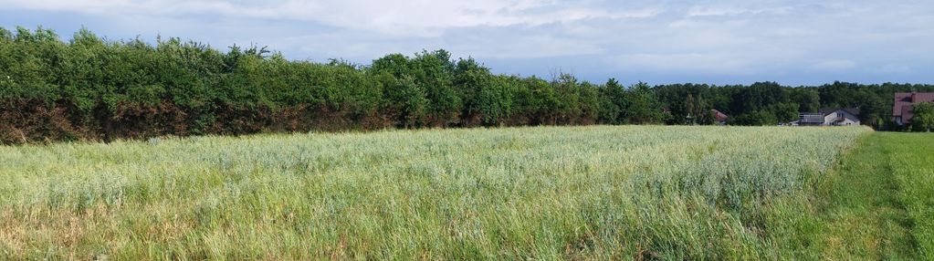 Działka na uboczu miasta - dąbrowa tarnowska.