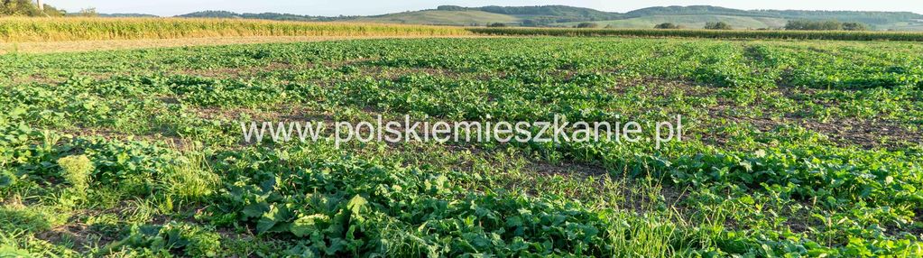 Inwestycyjna działka w krównikach