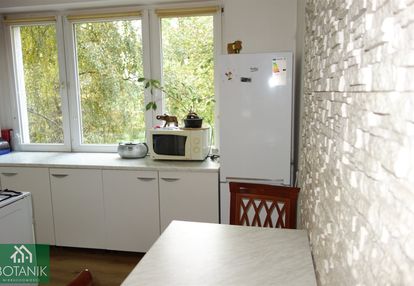 * lsm ul. skrzetuskiego *