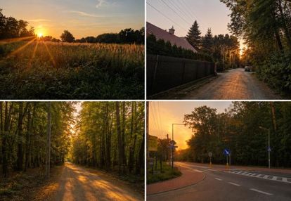 Działka 1800 m² przy lesie | warunki zabudowy