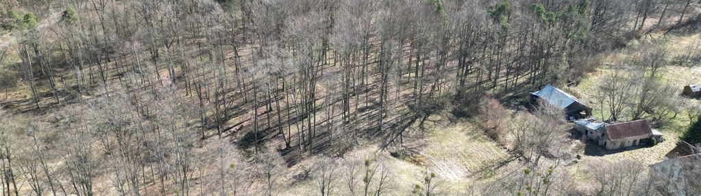Zielony zakątek w jędrychówku