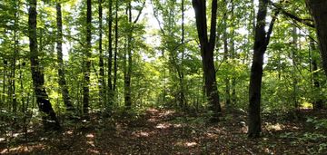 Działka inwestycyjna
