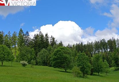 Widok na pasmo gór sowich ok 5 km od głuszycy