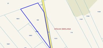 Wólka smolana, gm. brochów, media, las