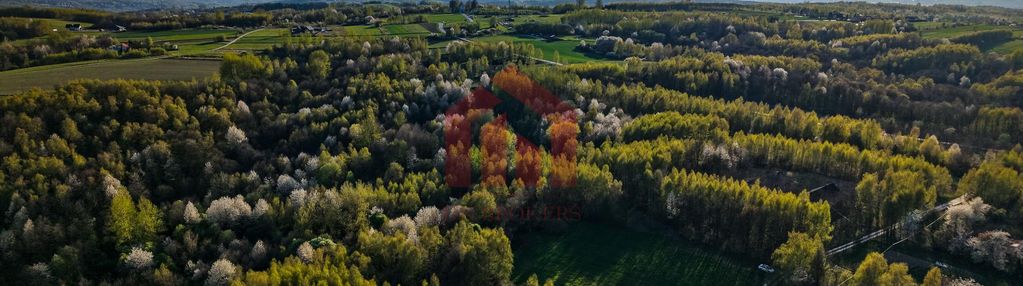 3,33 ha z lasem i strumykiem - teren pod zabudowę