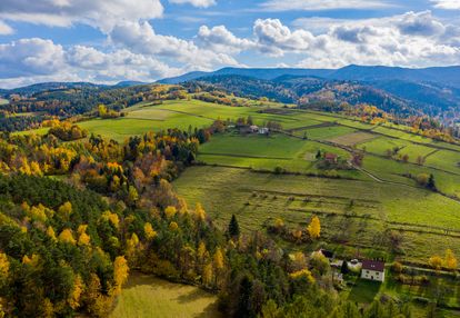 Działka rolno-leśna  we frycowej