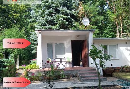 Działka z domkiem borówno kw jezioro , las.