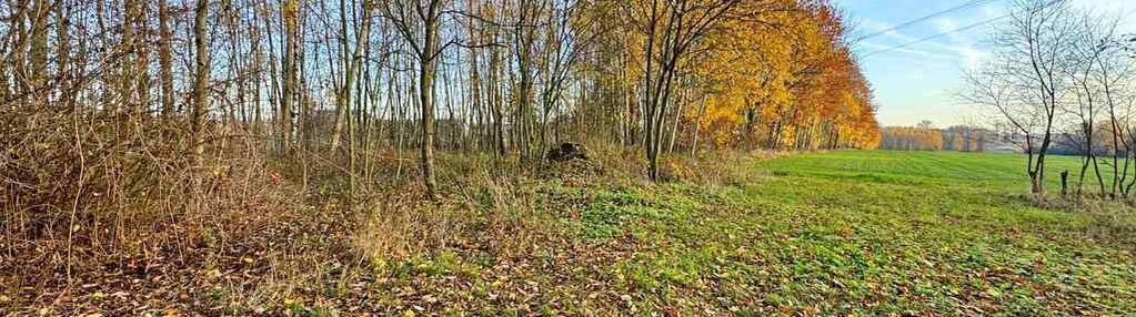 Działka bud-rolna łomnica/garwolin -2,47 ha
