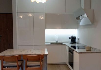 Unikatowe wysokie mieszkanie 43,7 m² z ogrodem