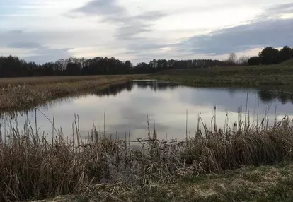 Działka na sprzedaż 9000m2