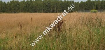 Siestrzeń działka 1500m2