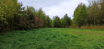 Pakiet dwóch działek w leśnie (wz-ka z 2025r.)