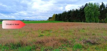 Morzewiec 1022m cisza spokój ściana lasu