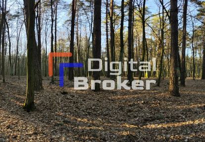 Domek na pięknej działce na sprzedaż / całoroczny
