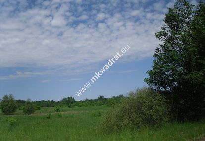 Oaza ciszy i spokoju