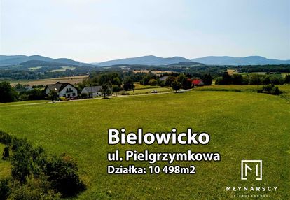Działka | 1ha budowlany | piękny widok