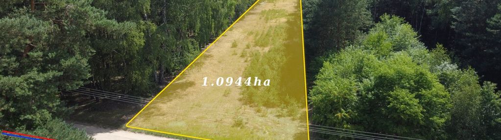 Działka - tomaszewo gm. nowe miasto