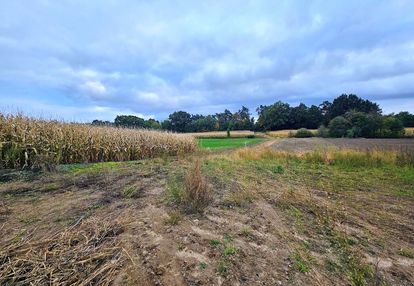 Duża widowiskowa cicha działka siekierowice