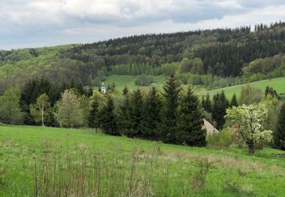 Działka/zagórze śląskie/okolice
