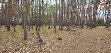 Działka leśna - w bardzo dobrej cenie