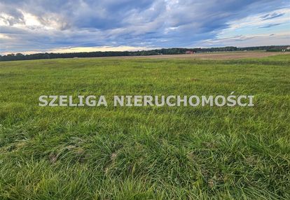 Kleszczów, ul. kozielska