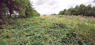 Działka zabudowana plus druga zalesiona w cenie