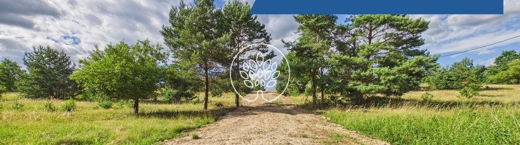 8200 m² z mpzp i warunkami zabudowy