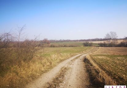 Działka rolna, łukowiec gmina sicienko