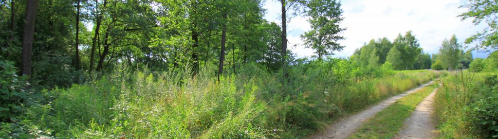 Działka rekreacyjna, zabudowa na zgłoszenie do 70m