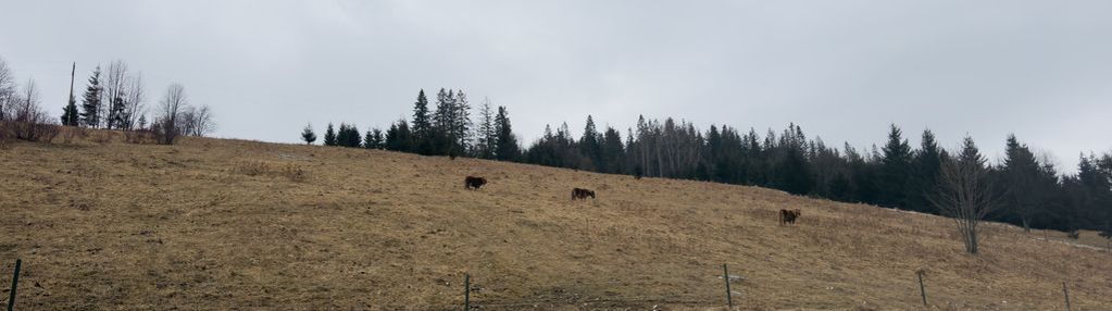 Działka inwes. k. zakopanego widok na góry i rzekę