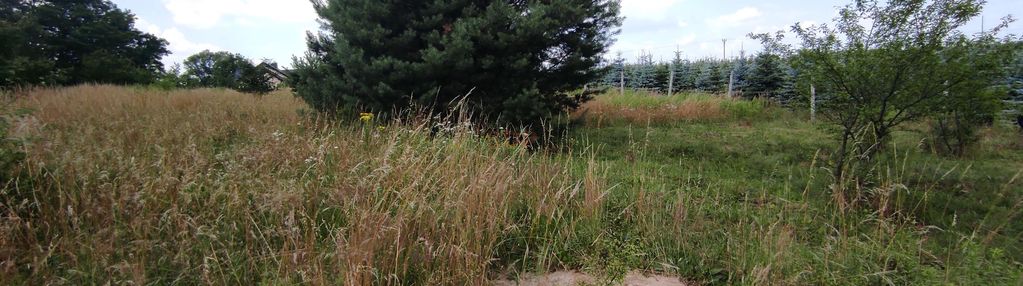 Ładnie położona działka w zawoni koło trzebnicy