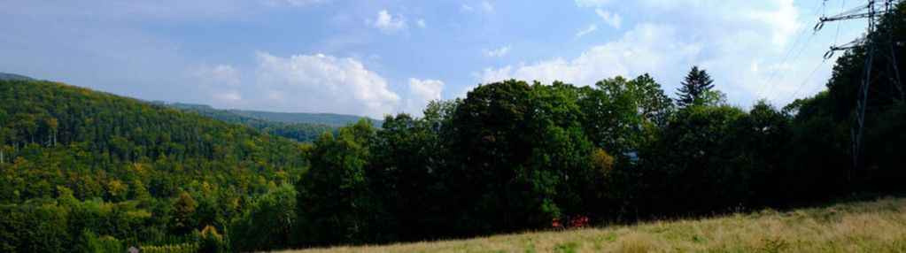 Działka z aktualnym warunkami zabudowy