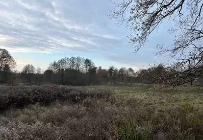 Działka na sprzedaż 196m2