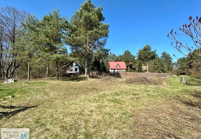 Urokliwa działka, w pobliżu las oraz rzeka nida.