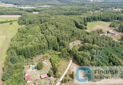 Działka położona w zielonej okolicy, nowe byliny