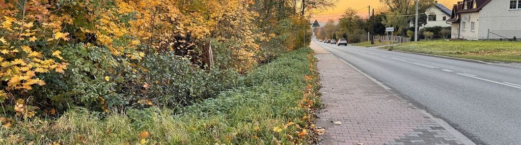 Działka usługowa 3554 m² – wodzisław śląski, dw936