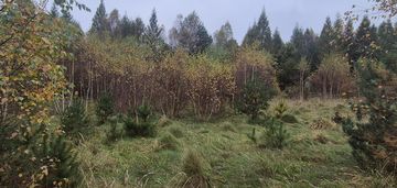 Działka z lasem "za plecami" i jeziorem w pobliżu!