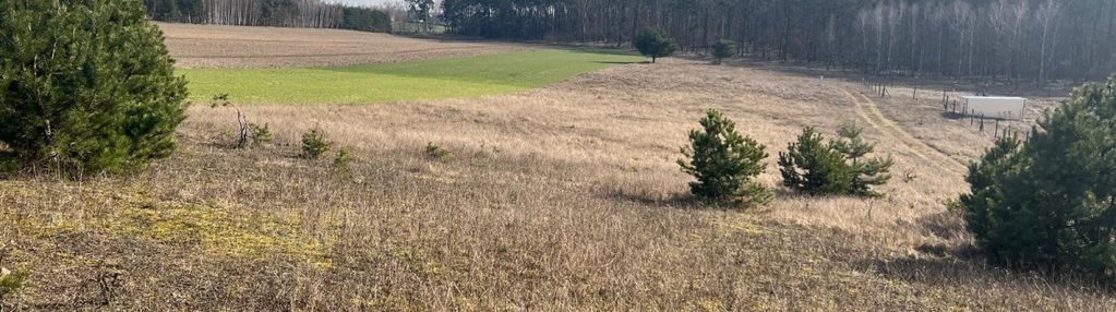 Działka budowlana w oporówku