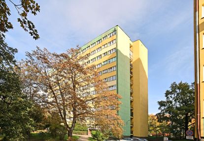 Świeżo po remoncie-38m2-media miejskie-ekonomiczny