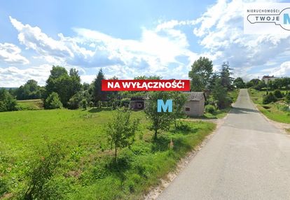 Szeroka dizałka z ogromnym potencjałem k.bodzentyn